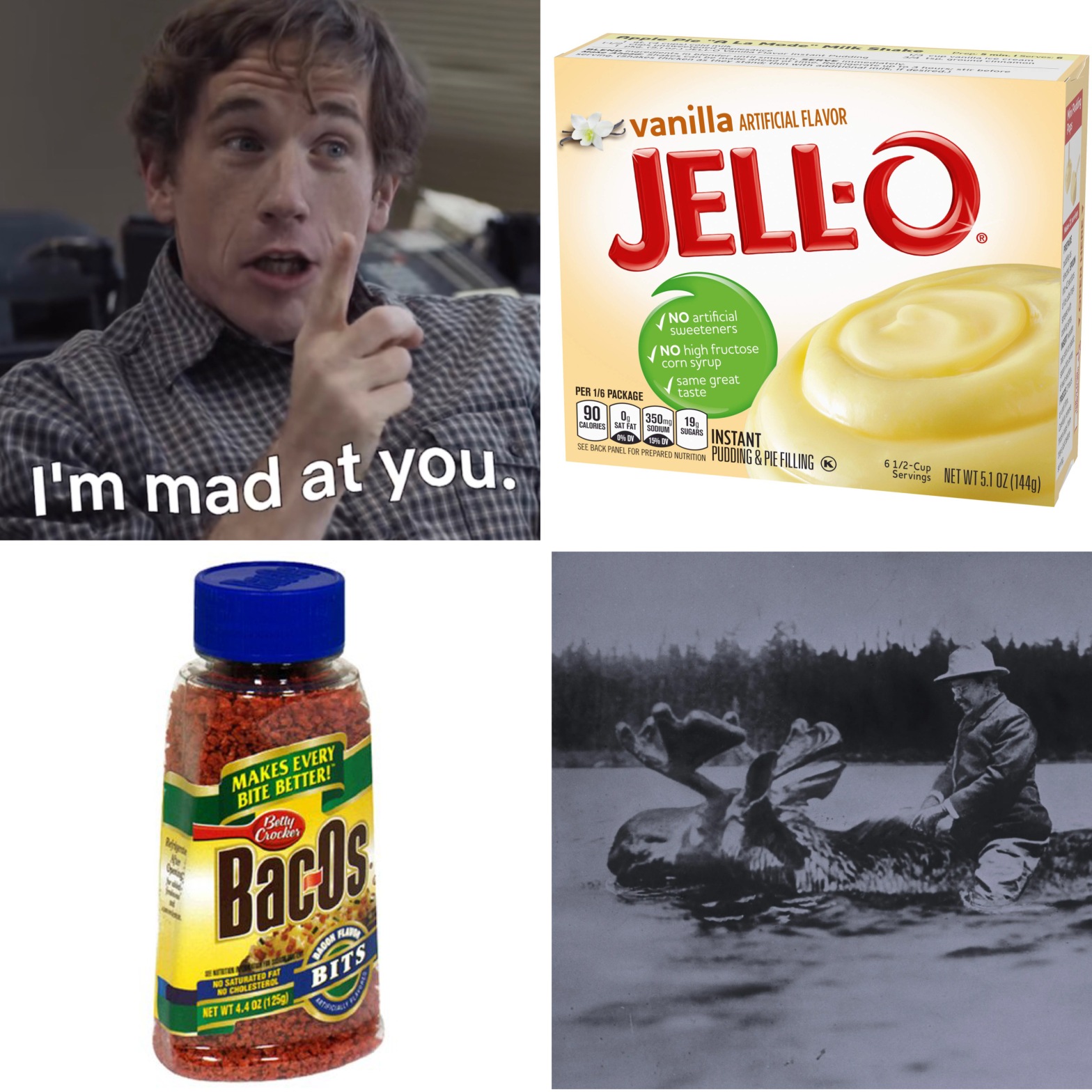 Conner O'Malley being upset in I Think You Should Leave, a box of instant Jell-O pudding, a bottle of Bac-O's Bacon Bits, and Teddy Roosevelt riding a moose through a river.