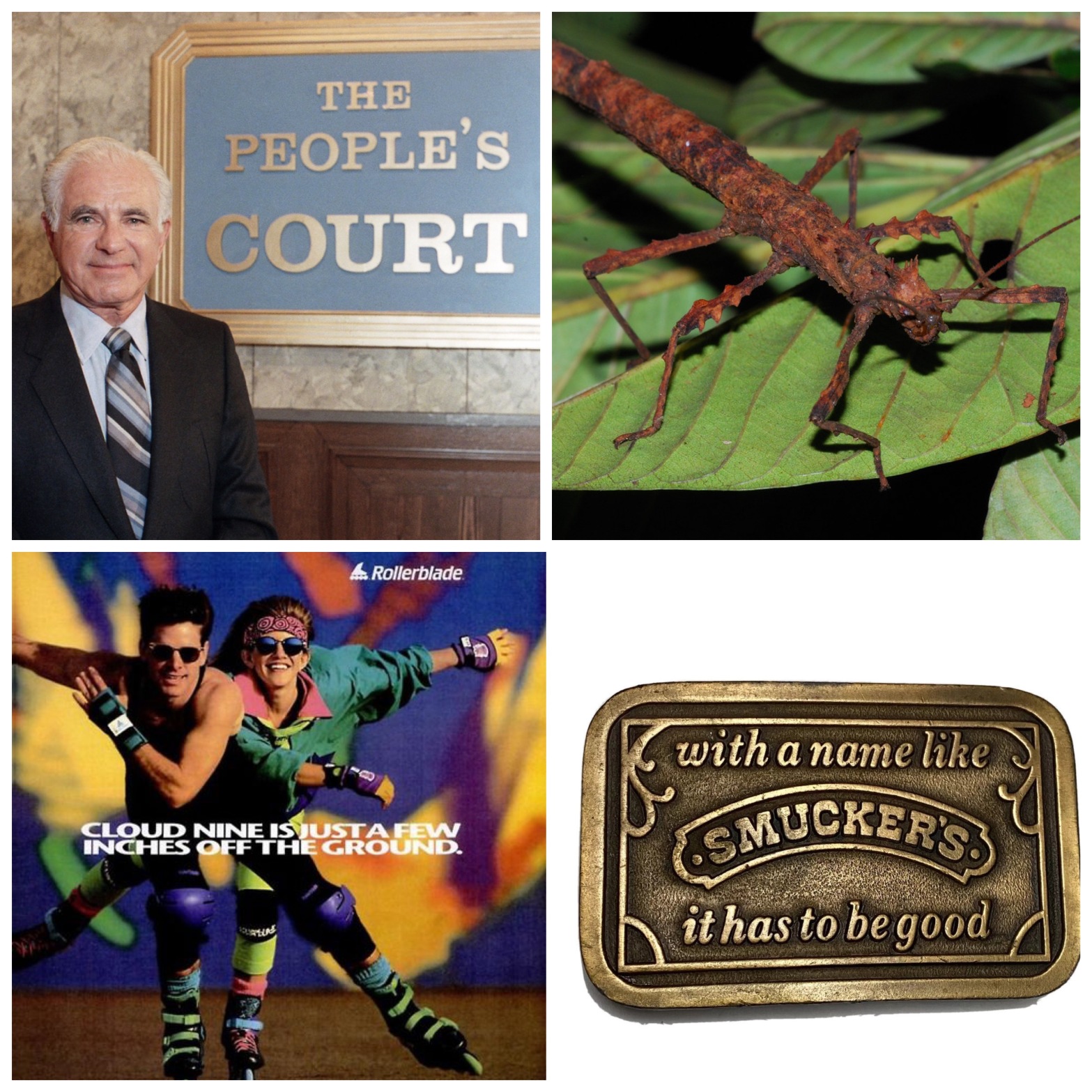 Judge Wapner standing with The People's Court logo. A creoxylus spinosus. A 90s ad for rollerblades reading Cloud Nine Is Just A Few Inches Off The Ground. A belt buckle stamped with the slogan "with a name like Smucker's, it has to be good."