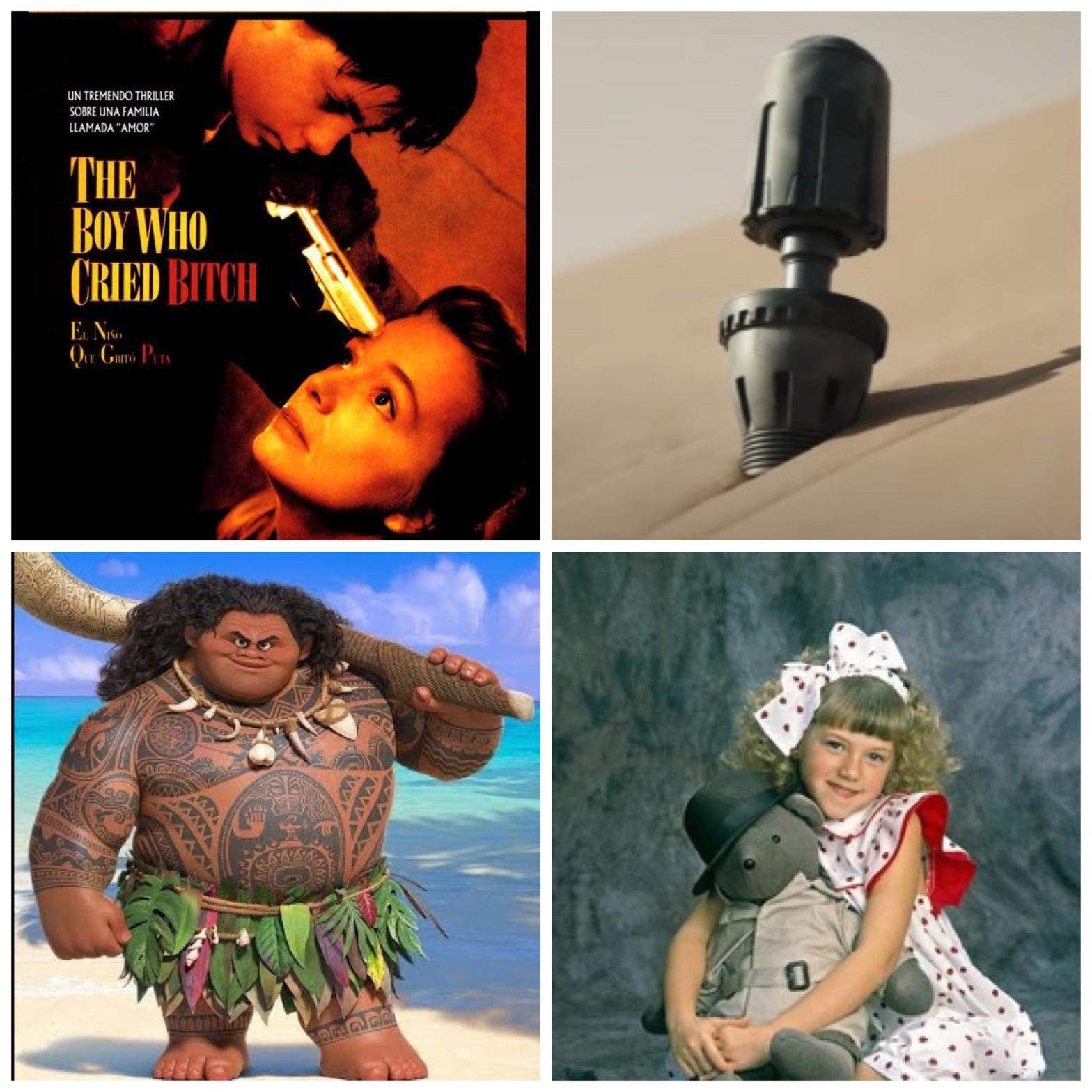 The poster for The Boy Who Cried Bitch movie, a thumper from Dune, Maui from Moana, and Mr Bear from Full House.